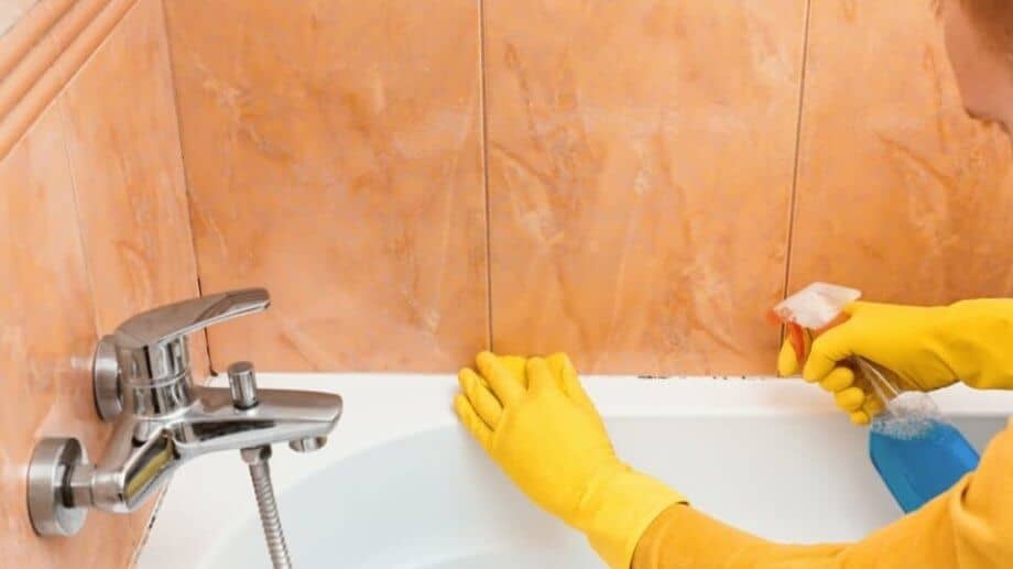 Schimmel im Bad entfernen – Gesundheitsrisiko beseitigen
